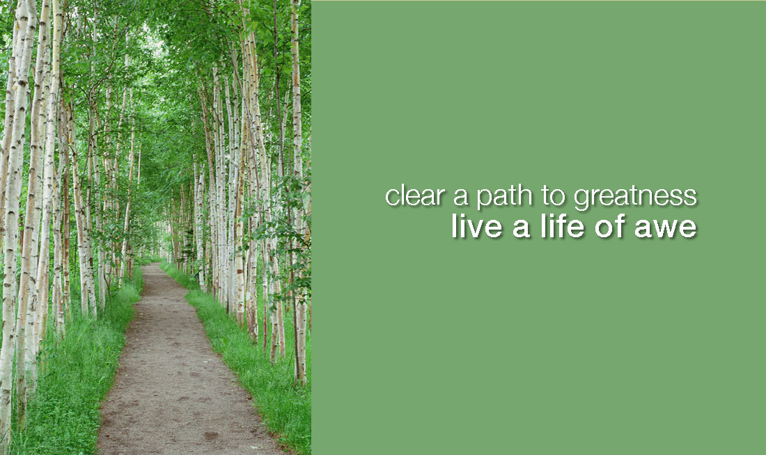 path through birch trees, captioned clear a path to greatness, live a life of awe